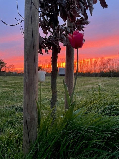 camperplaats_camper_camperovernachting_leeuwarden_friesland_menaam