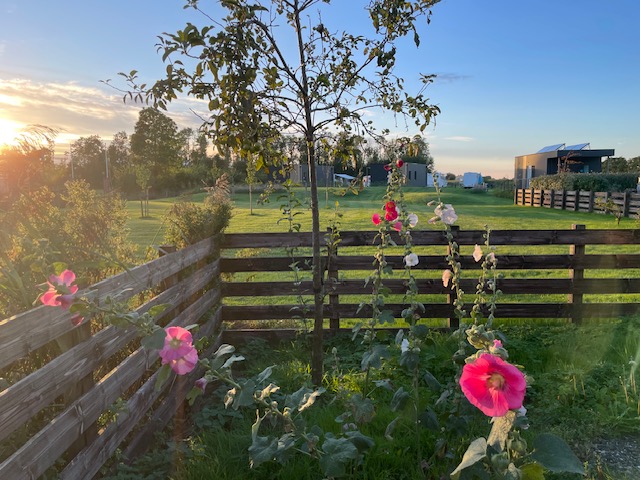 33654078-8EBA-4272-9DE9-E4C068F65918 (002)