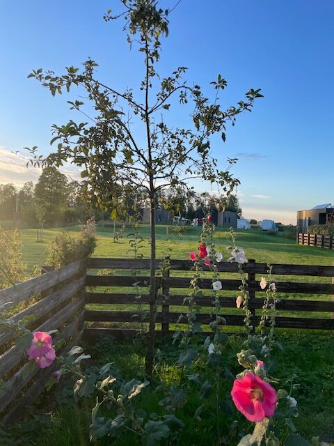 756D81F7-0069-4A60-B77C-56F7F14F133D (002)