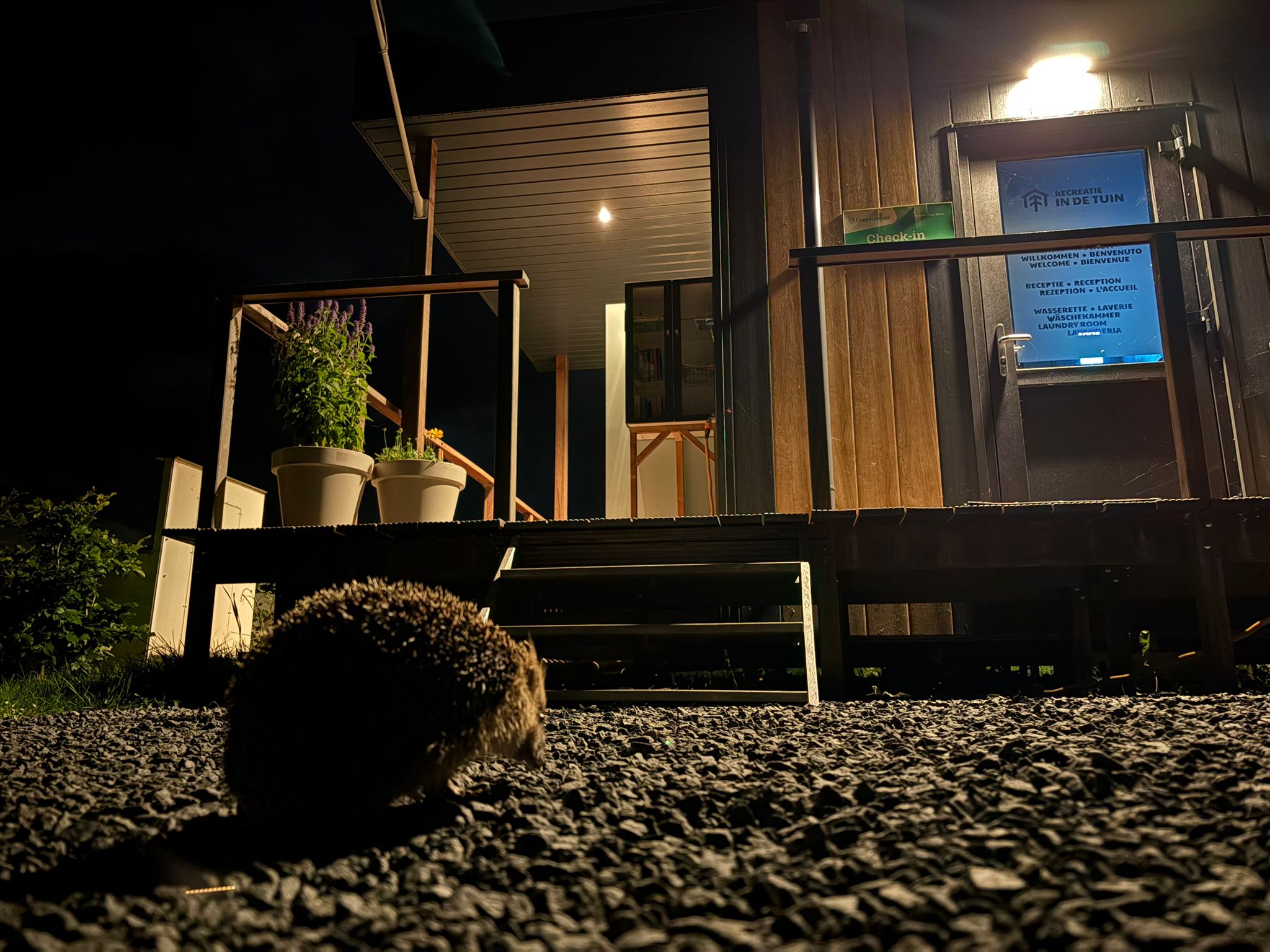 camperplaatsen-chalet-overnachting-recreatieindetuin-menaam-leeuwarden-friesland