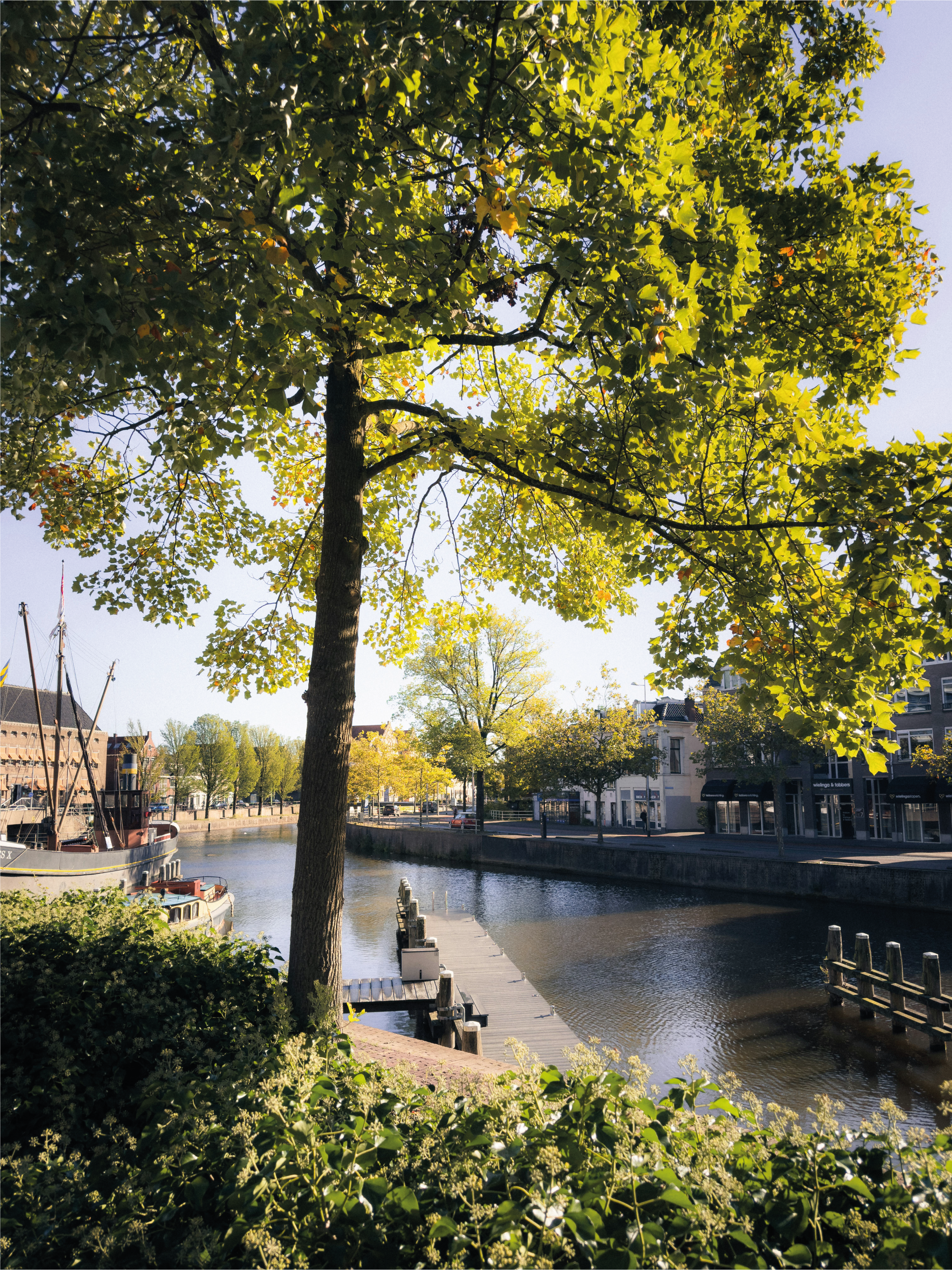 pexels-leeuwarden-friesland-menaam-51